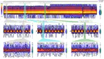 Visualization Techniques for Dynamic Networks